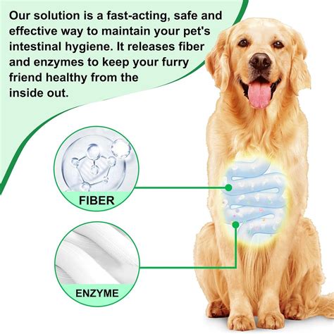 De Worming Dogs Naturally 的图像结果