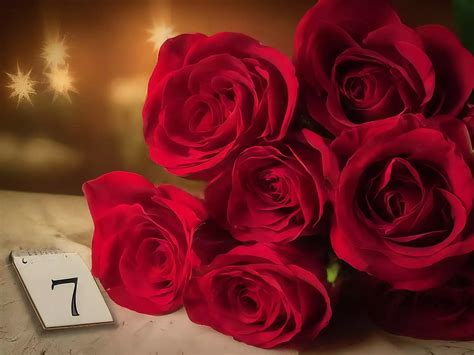 Rose Day: Valentine's Week 2025 list: Rose Day - messages, status ...