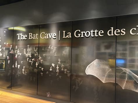 Royal Ontario Museum (ROM) Guide - Biodiversity - The Bat Cave