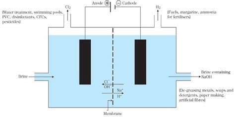 Importance of pH in Everyday Life and Salts - Science Class 10 PDF Download