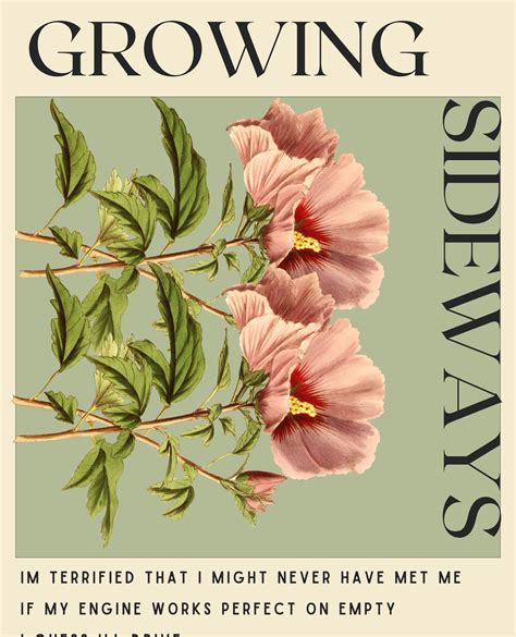 Noah Kahan Growing Sideways Inspired Poster Diseñado Y Vendido Por ...