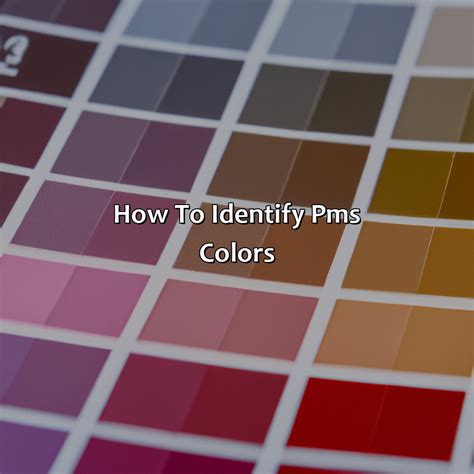 Image result for PMS Colors