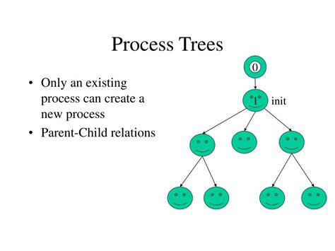 Process Tree Parent Process and Process 的图像结果