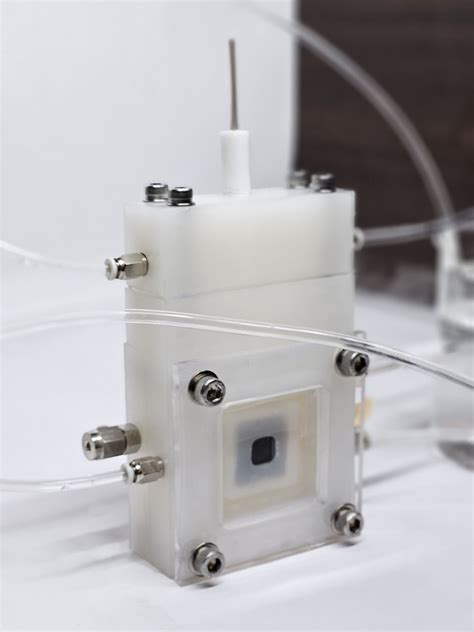 Dual Chambered In-Situ Raman Spectroscopy Cell With Single Light Window ...