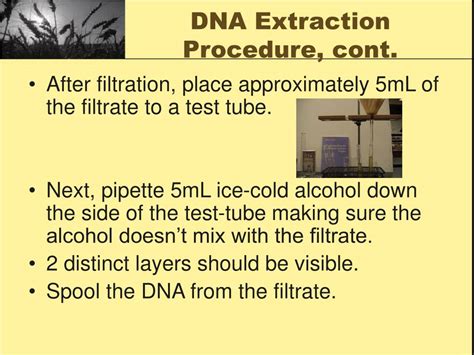 Image result for How DNA Testing Works
