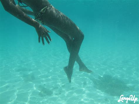 Fish Swim Model 的图像结果