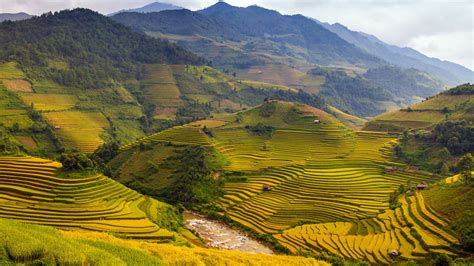 Image result for Vietnam Shell Exploding