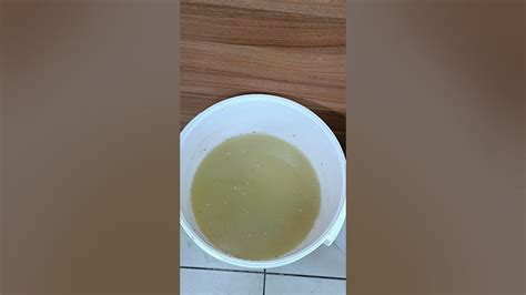 Брага из гречки на кодзи A и N. Сколько бродит и признаки готовности # ...
