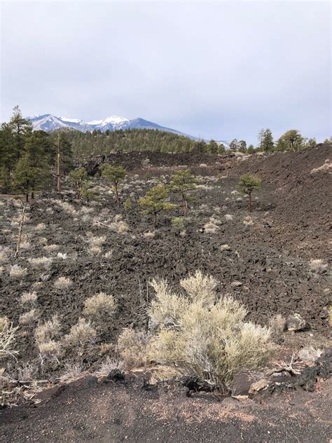 Lava Flow Trail - Arizona | AllTrails