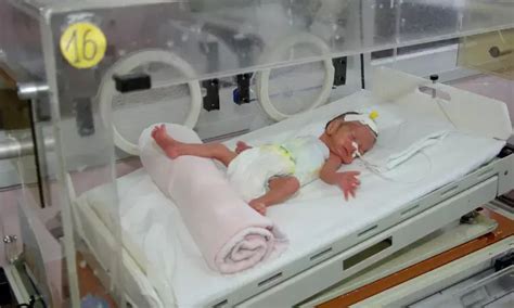 Low-Frequency Sound in Incubators May Harm Premature Infants' Hearing ...