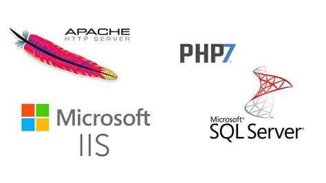 SQL Server PHP Connection IIS 的图像结果