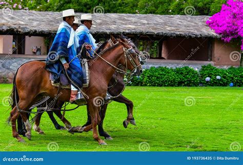 Paso Peruvian Horse-Wayra Urubamba - Peru 76 Editorial Image - Image of ...
