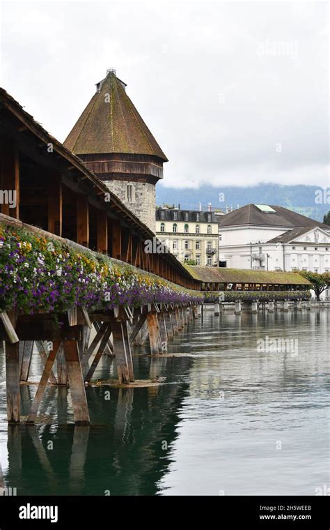 Image result for Chapel Bride