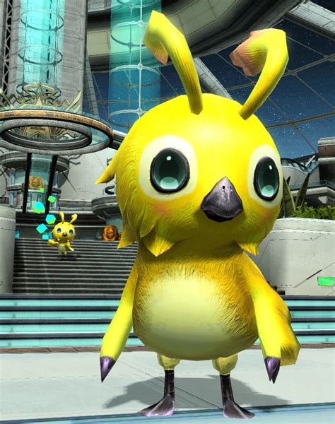 Image result for PSO2 Rappy Costume