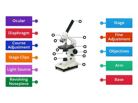 Image result for Compound Microscope Blank Labels