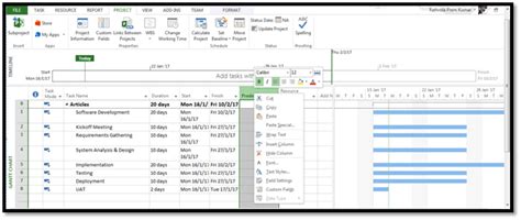 Microsoft Project Baseline Tutorial 的图像结果
