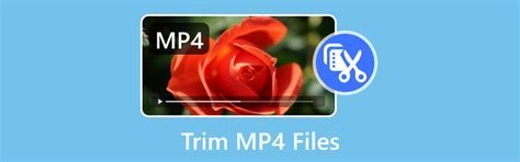 Trim a MP4 File 的图像结果