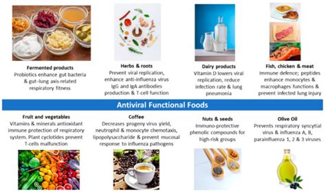 Antiviral Functional Foods and Exercise Lifestyle Prevention of Coronavirus