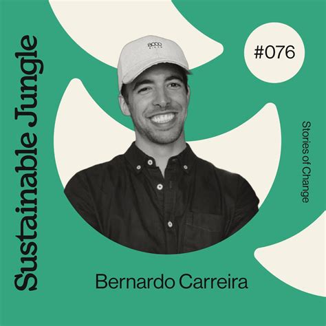 Are Paper Plates Recyclable & Eco-Friendly? Looking Behind The Paper