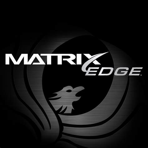 Image result for Matrix Auto Paint How To