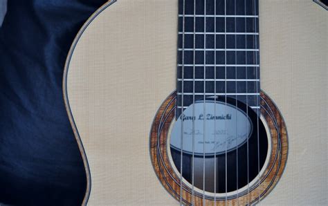 Image result for 8 String Classical