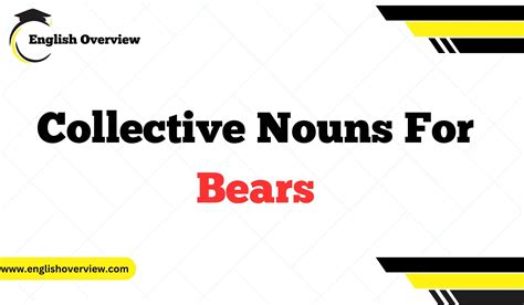 What is the Collective Nouns for Bears?