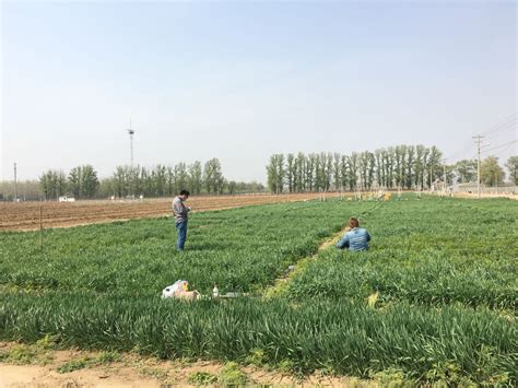 安徽天长：不误农时全力以赴抓好春耕生产_滁州市农业农村局