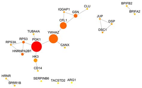 Combined Salivary Proteome Profiling and Machine Learning Analysis ...