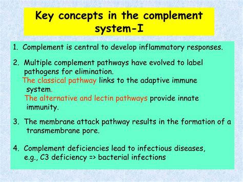 Image result for Complement Innate Immunity