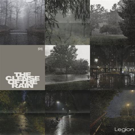 The Script Rain Clean 的图像结果