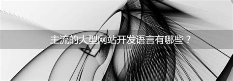 上海网站建设公司告诉你大型网站开发语言都用哪些？-上海艾艺