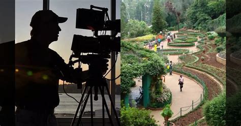 அடுத்த 3 மாதத்திற்கு நீலகிரியில் படப்பிடிப்புகளுக்கு தடை.. சுற்றுலாப் ...