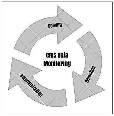 Quality Issues of CRIS Data: An Exploratory Investigation with ...