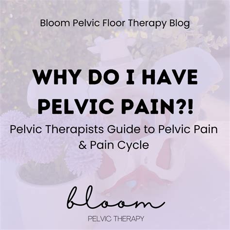 Bloom Pelvic Floor Therapy
