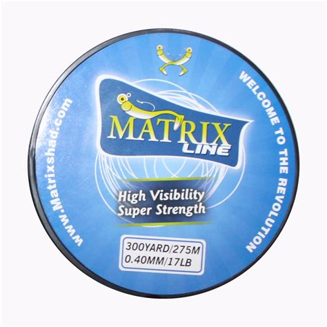 Image result for Matrix Lining Strings