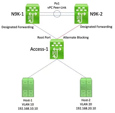 Image result for Carlson Sur VPC Export Tutorial