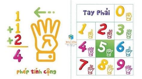 Image result for Finger Mathematic