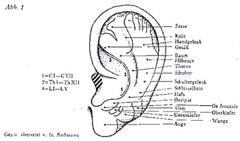 Auricular Neuromodulation: The Emerging Concept beyond the Stimulation ...