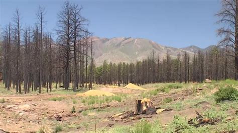 Ring of Fire eclipse was seen over northern Arizona