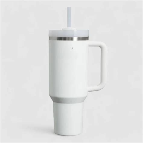 Stainless Steel Insulated Reusable Water Bottle with Lid in White ...