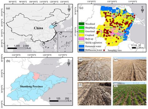 Integrating Multi-Temporal Sentinel-1/2 Vegetation Signatures with ...