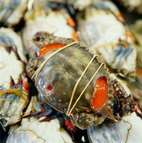 浙江舟山最著名的六大特色美食，舟山海鲜面你吃过吗？_巴拉排行榜
