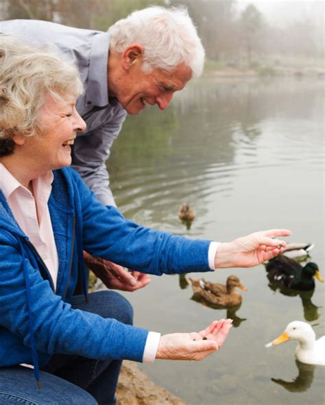 Activities in Spring 的图像结果