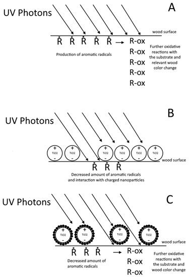 Radical Species Production and Color Change Behavior of Wood Surfaces ...