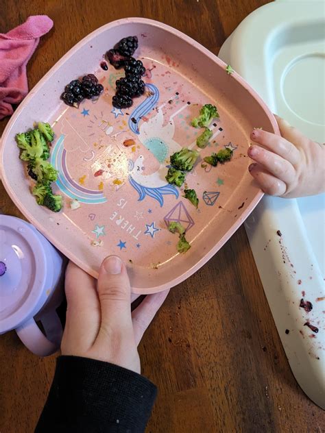 14 month old's lunch : r/foodbutforbabies