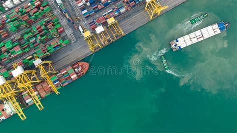 Import Export 的图像结果