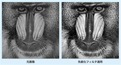 Image result for Design Algorithm Coding