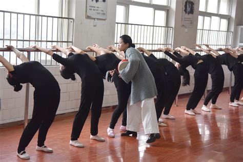 重庆大学艺术学院舞蹈系2020届供需双选会顺利举行-重庆大学艺术学院