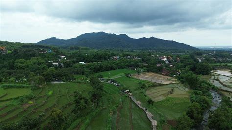 Images for Environment 的图像结果