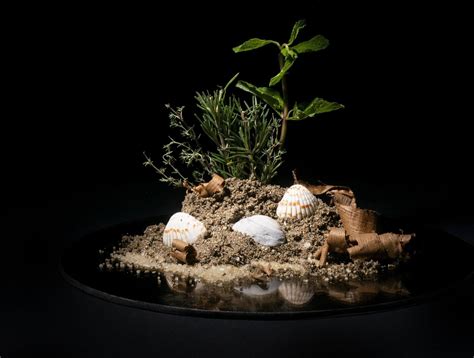 Fragrances Candles: Buy Fragrant Candles Online | Seva Home